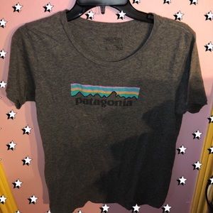 Patagonia tshirt